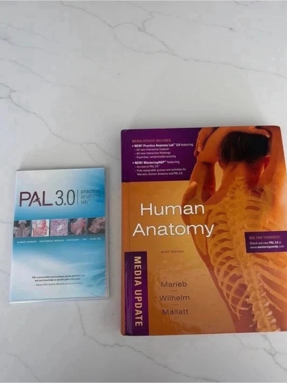 Human Anatomy Media Update Textbook - Orange
